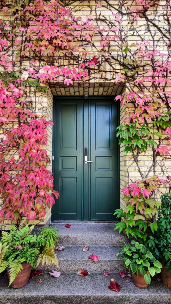  A green fiberglass door