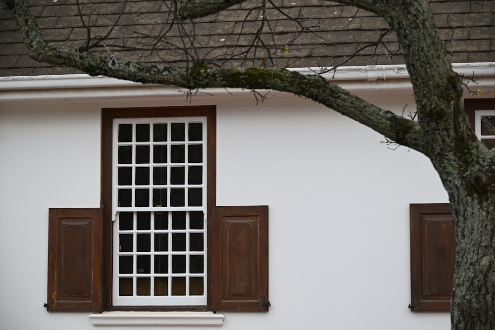 A wooden window on a white house with a tree in front of it